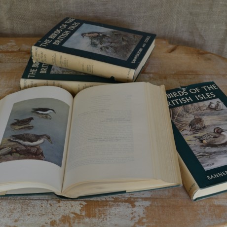 A Set of 12 Volumes: Britsh Birds