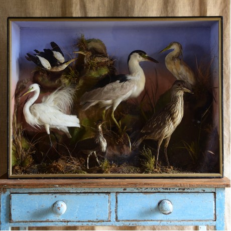 Case of Herons by Gardner